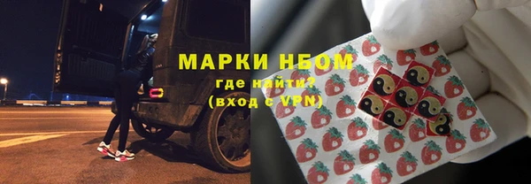 крисы Корсаков
