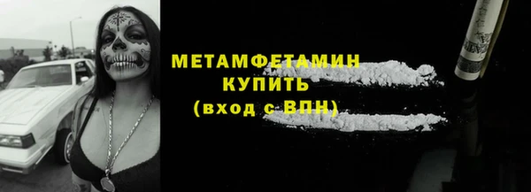 крисы Корсаков