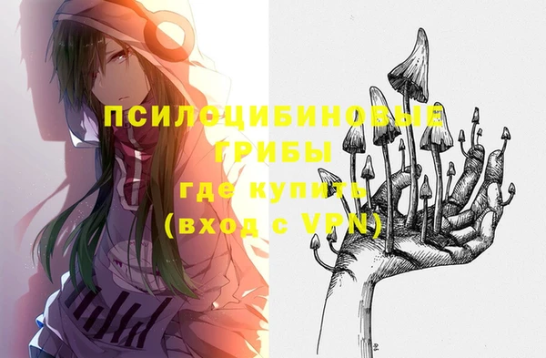крисы Корсаков