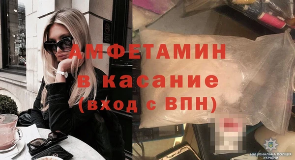 крисы Корсаков