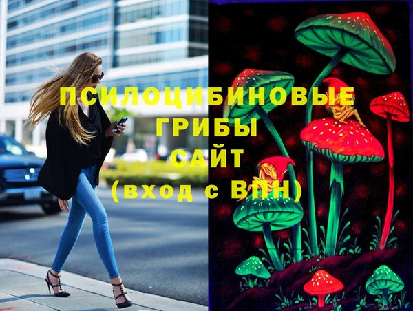 крисы Корсаков