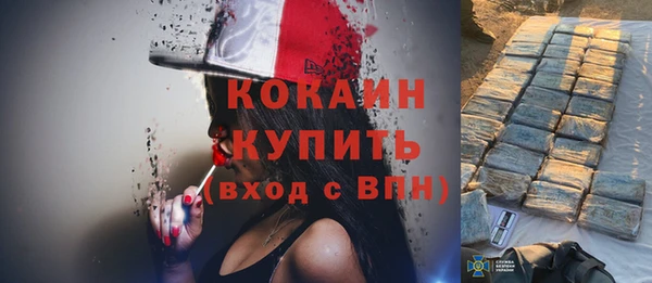 крисы Корсаков