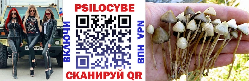 Псилоцибиновые грибы Magic Shrooms  Псков 